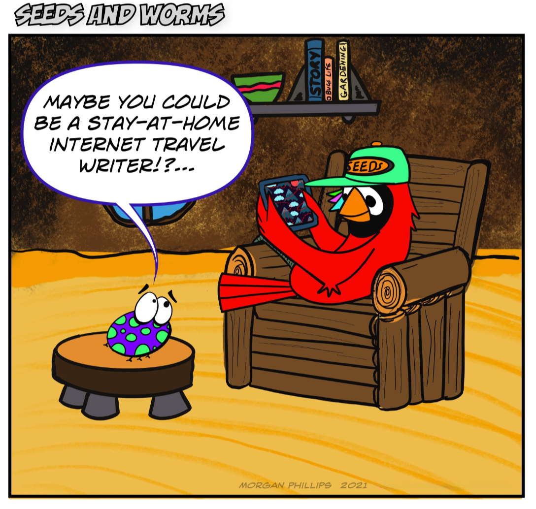 Seeds and Worms : Stay at home internet travel writer